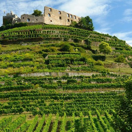 Hotel Der Loewen In Staufen Экстерьер фото