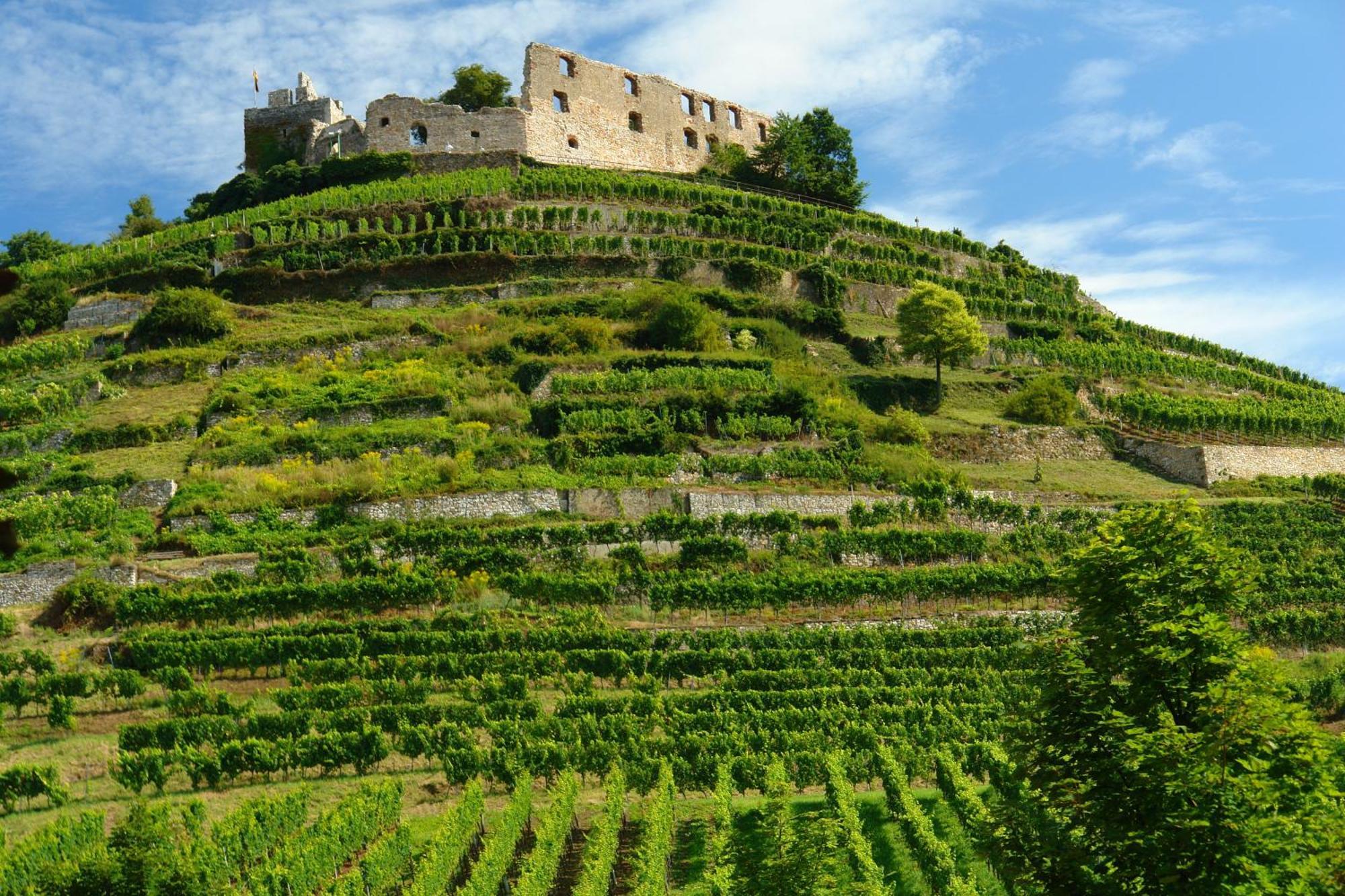 Hotel Der Loewen In Staufen Экстерьер фото